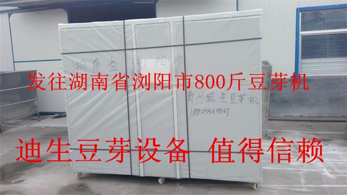 6-28發(fā)往湖南省瀏陽(yáng)市800斤豆芽機(jī)