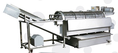 燙豆殺菌篩選一體機