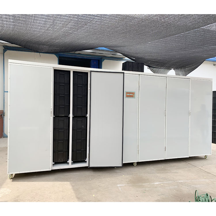 大型全自動商用花生芽機花生催芽機箱式花生芽設備