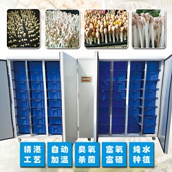 全自動智能商用花生芽機器花生催芽機箱式花生設備水培花生設備智能發芽機