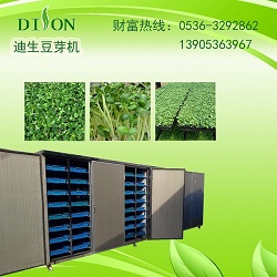 全自動不銹鋼苗菜機