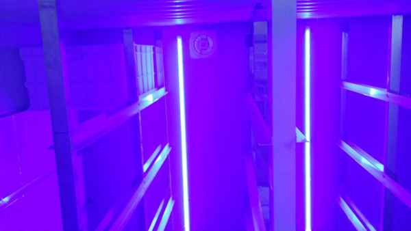 藍(lán)光促生長(zhǎng)苗菜機(jī) 藍(lán)光促生長(zhǎng)苗菜機(jī)