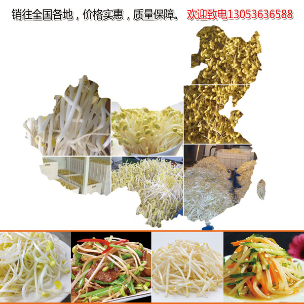 DS-800B型（pvc內(nèi)置斗）豆芽機