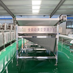 大型黃豆芽清洗機(jī)