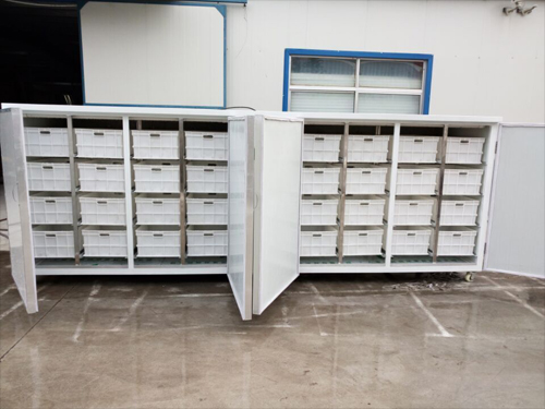 發(fā)往四川德陽(yáng)中江縣1000斤豆芽機(jī)