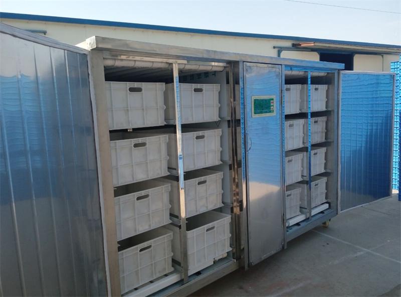 發湖北利川500斤不銹鋼豆芽機一臺