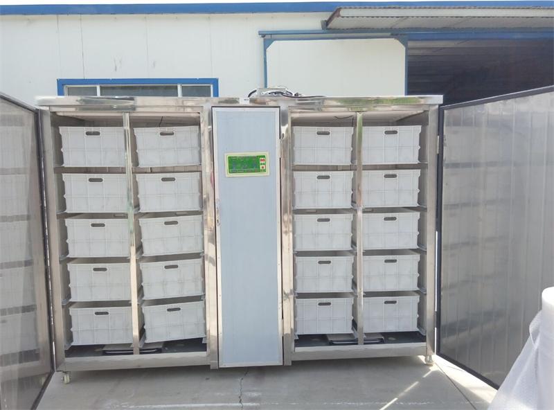 發四川達州300斤不銹鋼豆芽機一臺