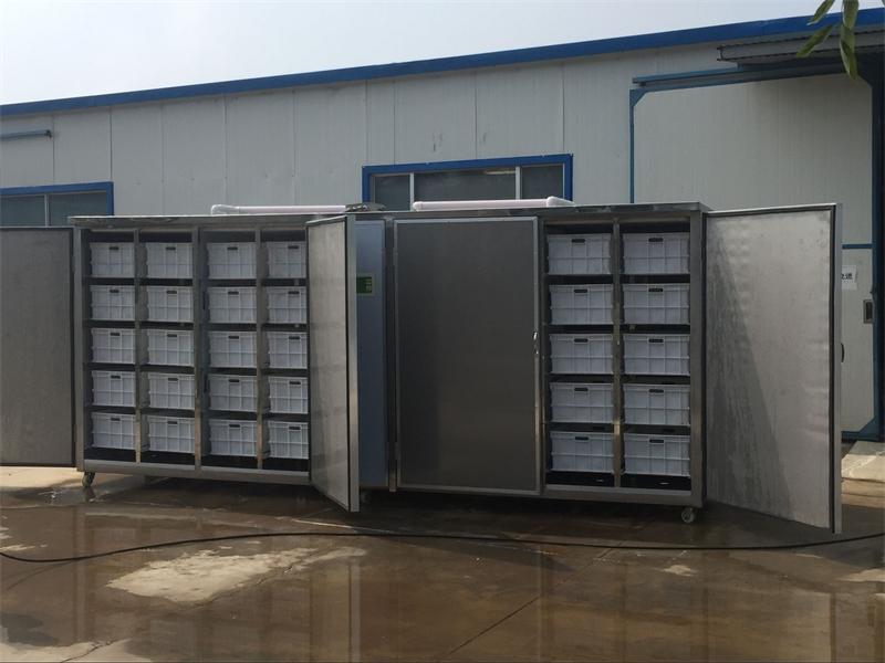 發(fā)山西晉城1200斤不銹鋼豆芽機一臺