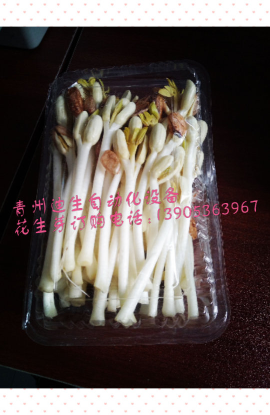 歡迎訂購花生芽