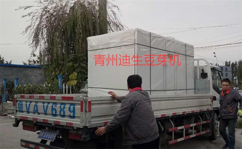 發吉林500斤普通豆芽機一臺