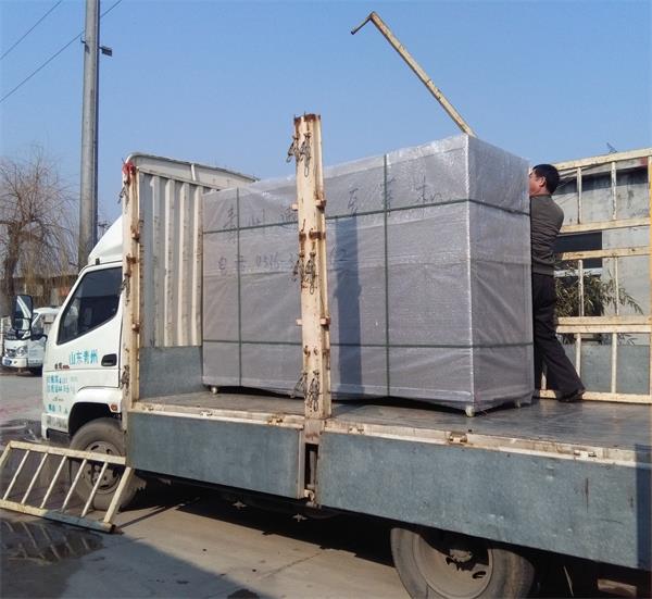 發(fā)往重慶200斤豆芽機