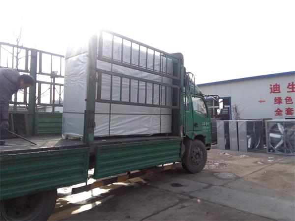 發往遼寧300斤豆芽機