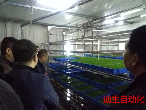 客戶實地考察指導