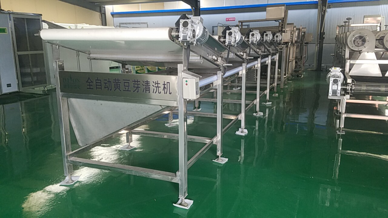 大型黃豆芽清洗去殼機