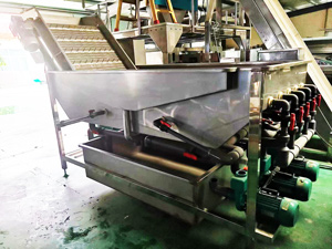 韓式豆芽清洗去殼機