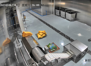 全自動清洗泡豆流水線