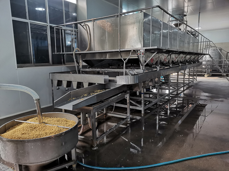 全自動清洗泡豆流水線