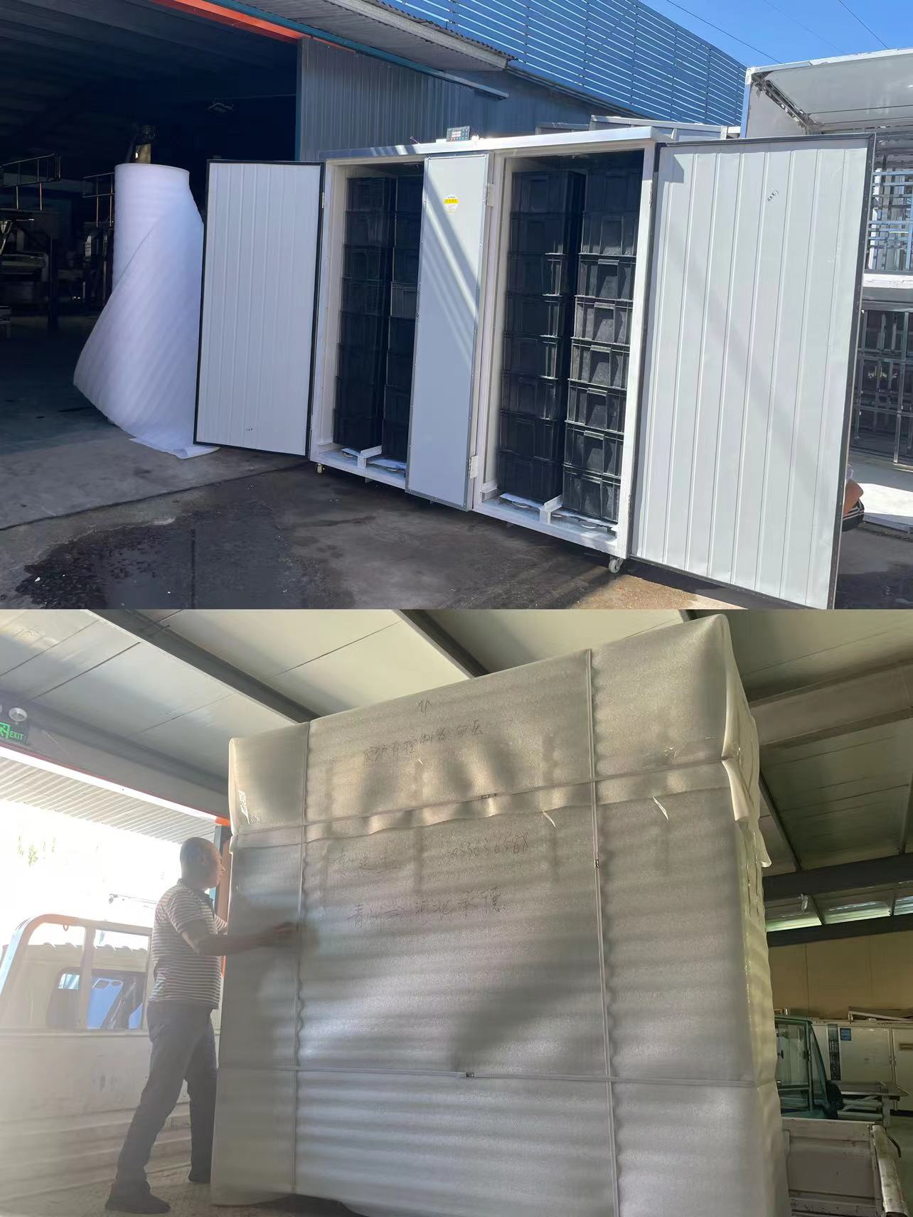 發往河北廊坊32筐全自動豆芽機——青州迪生機械