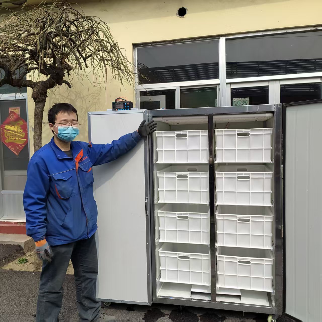 全自動100型黃綠豆芽機械設備