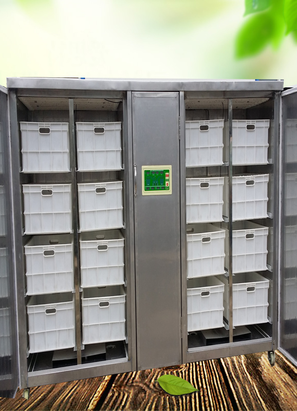 全自動豆芽機小型全自動不銹鋼