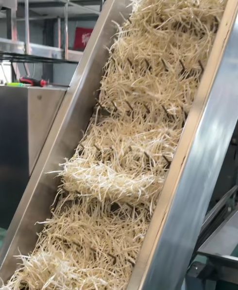 豆芽提升機(jī)